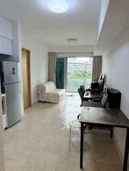 Eight Riversuites (D12), Condominium #553545541